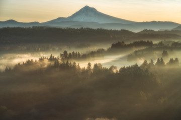 Obraz na płótnie Canvas Mountains, Trees, Fog - Oregon