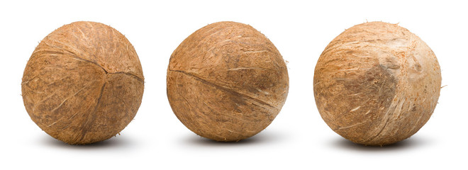 Collection of whole coconut isolated on white background. Coconut shell clipping path.