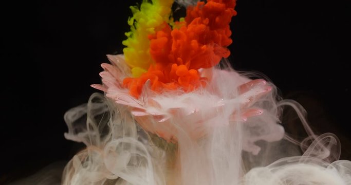 Clubs of yellow, white and orange paint explode in water and mix over pink flower gerbera covered with air bubbles. on black background isolated. Environmental pollution concept. Slow motion macro