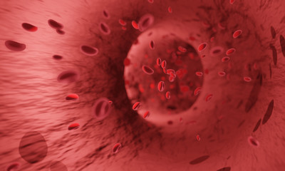 Red blood cells in an artery or  blood vessel , flow inside body, medical human health-care. 3D...
