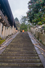 Fototapeta premium long stairway