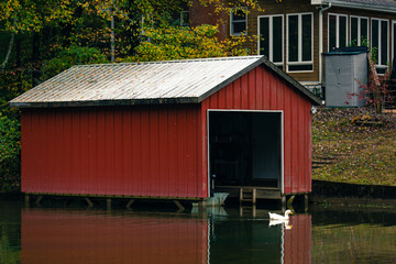 Duck In front of Boat House