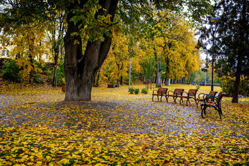 Autumn road in Pskov, Russia