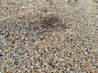 pebbles on the beach