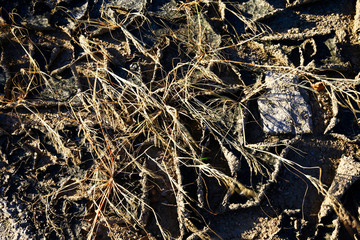 Climate warming dry chapped land