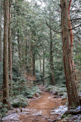 京都の大文字山