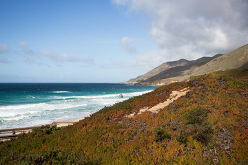 Obraz premium Big Sur coastline along California's scenic Pacific Coast Highway