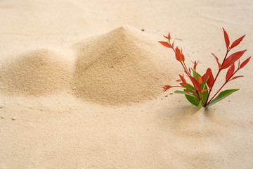 concept of trees and sand mountain.