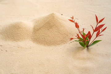 concept of trees and sand mountain.