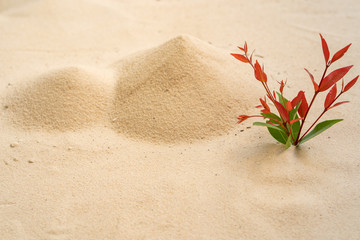 concept of trees and sand mountain.