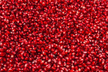 Christmas decoration, red ball isolated on white background.