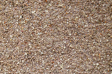 Rough Grainy Fine cut Small Stones Silica On Concrete Wall in Light Brown Shade Seamless Pattern Design Texture Suitable For Wallpaper Or Background