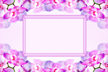 Pink mock up fram with space for text and Orchid flowers. Spring background with fresh flowers. Valentine's minimal background.