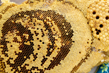 The honeycomb of the villagers Natural sweet food.