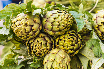 Obraz premium Italy, Sicily, Trapani Province, Trapani. Artichokes for sale at the market in Trapani.