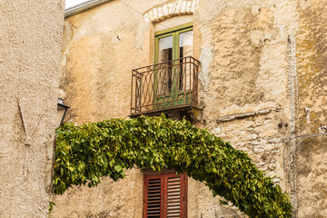 Fototapeta na wymiar Italy, Sicily, Province of Palermo, Prizzi. A plant covered arch across an alley in Prizzi.