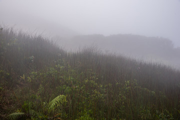 Fototapeta premium misty morning over the mountain landscape