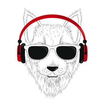 Dog with glasses and headphones.