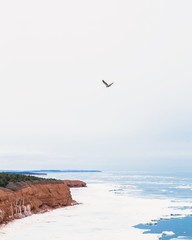 Fototapeta na wymiar Flying solo Orby Head Prince Edward Island Canada