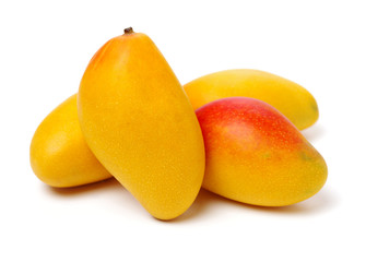 Mango on a white background