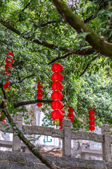 A Chinese red lantern hung from a big tree