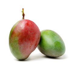 mangos on a white background 