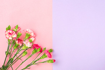 flowers on white background
