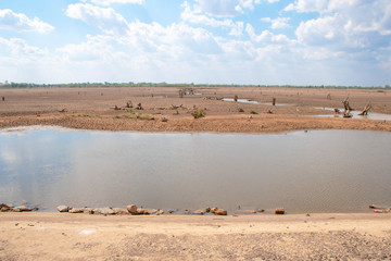 Drought and summer season, Hot landscape. Close up image of cracked dry land.