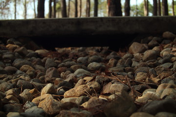 River Rocks Under the Bridge