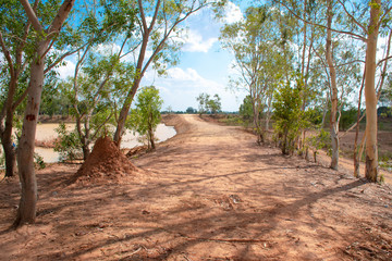 Fototapeta na wymiar Drought and summer season, Hot landscape. Close up image of cracked dry land.