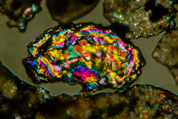 Abstract micrograph of sand grains from Puerto Vallarta, Mexico.