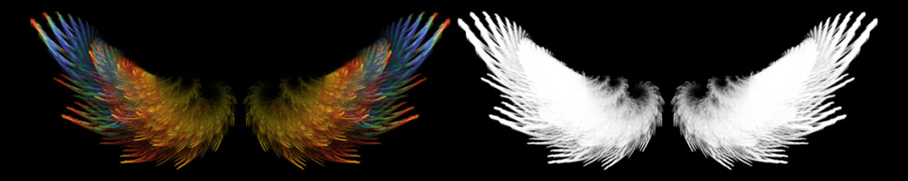 fantasy colorful bird wing with white clipping mask