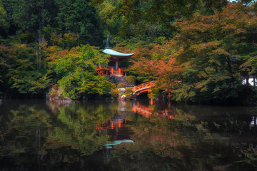 pond in japanese garden