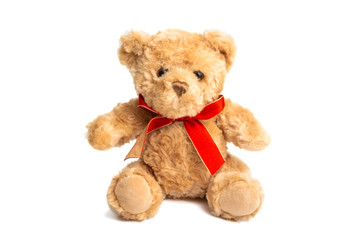 soft bear toy isolated