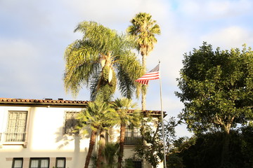 Fototapeta na wymiar palms in Los Angeles cool sky 