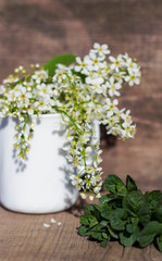 spring still life, cherry blossoms in a Cup ,with a bunch of mint on a wooden table in the light of the sun