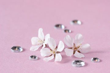桜の花とストーンの背景