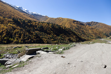 Awsome mountaines and forest near the village of Ushguli in Svaneti. Georgia
