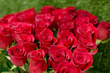Natural red roses background. Postcard for a holiday. Valentine's day. Mother's Day! Holidays concept.