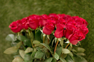 Natural red roses background. Postcard for a holiday. Valentine's day. Mother's Day! Holidays concept.