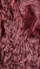 texture of the fur painted in Burgundy color