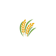 Sheaf of Rice Vector Icon. Isolated Ear of Rice Realistic Illustration