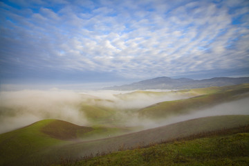 Morning Fog in Tri-Valley San Ramon