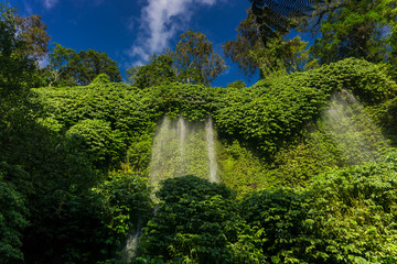Waterfall at the Forest