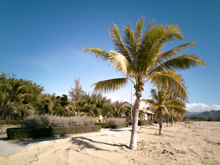 Fototapeta na wymiar Sandy beach on a territory of hotel on a coast of the South China Sea