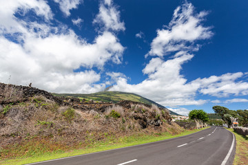 Vineyards and Road below Mount Pico