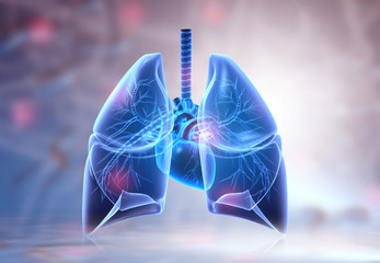 Human lungs anatomy on science background. 3d illustration. - obrazy, fototapety, plakaty