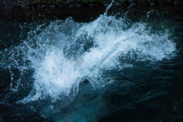 Fototapeta na wymiar Jump and splah in the Water