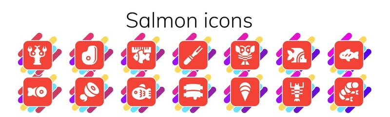 Modern Simple Set of salmon Vector filled Icons