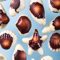 Beautiful chocolate shells, milk chocolate with nut filling, chocolate sweets close-up